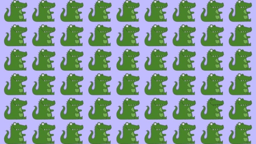 Observation Skill Test: Can you find the odd Crocodile out in the picture within 10 seconds?