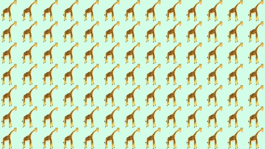 Observation Skill Test: Can you find the odd Giraffe within 10 seconds?