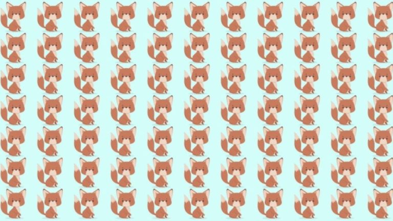 Observation Skill Test: Can you spot which Fox is different in 10 seconds?