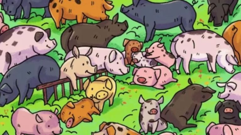 Observation Skills Test: Can You Find The Hippopotamus Among The Pigs Within 16 Seconds?