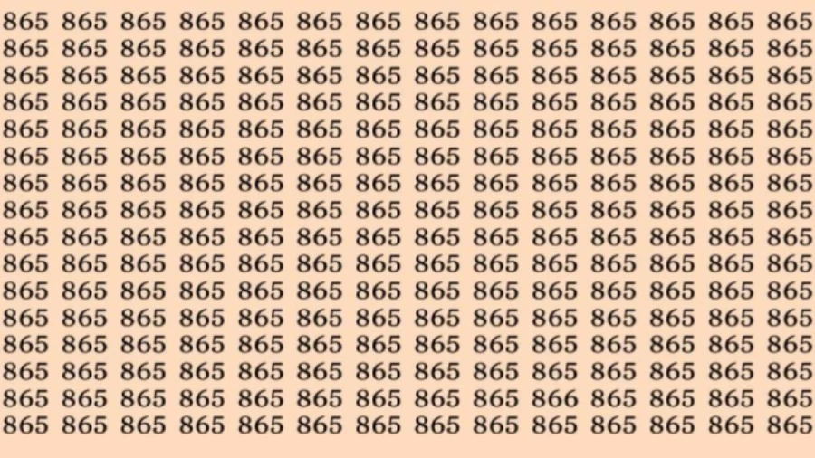 Observation Skills Test: Can you find the number 866 among 865 in 10 seconds?