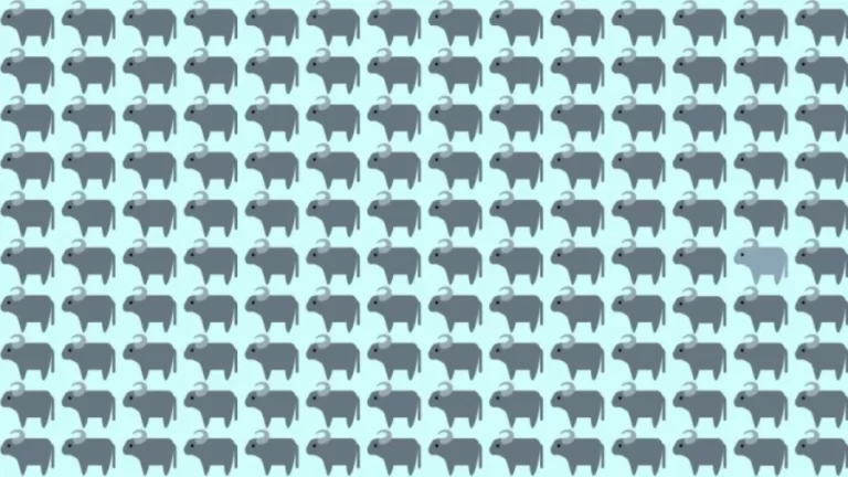 Observation Skills Test: Can you find the odd Buffalo within 12 seconds?