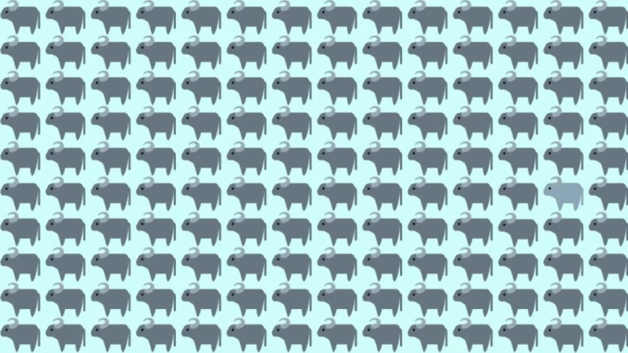 Observation Skills Test: Can you find the odd Buffalo within 12 seconds?