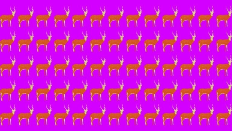 Observation Skills Test: Can you find the odd Deer within 12 seconds?