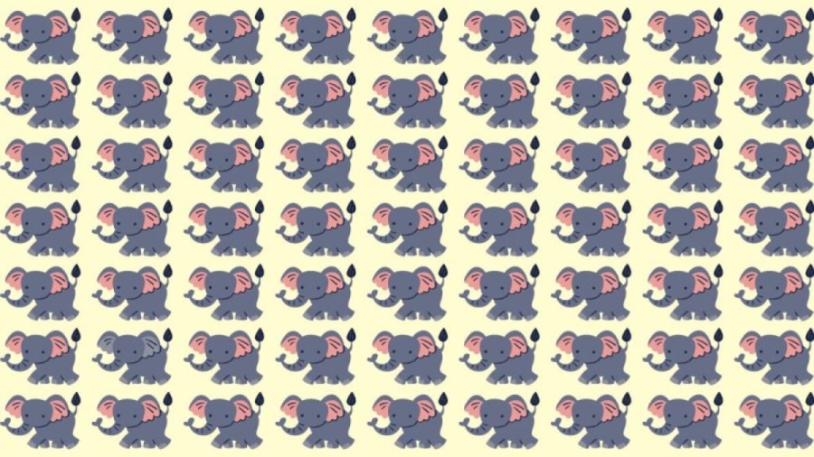 Observation Skills Test: Can you find the odd Elephant within 10 seconds?