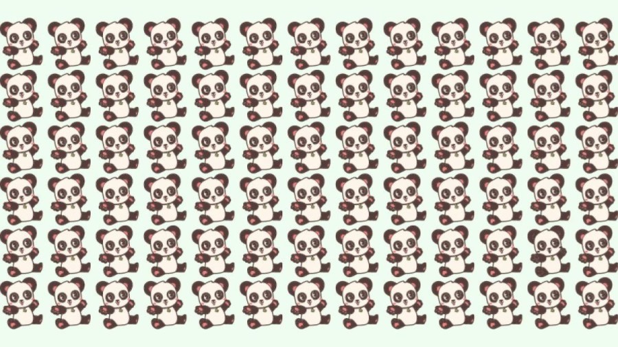 Observation Skills Test: Can you find the odd Panda within 12 seconds?