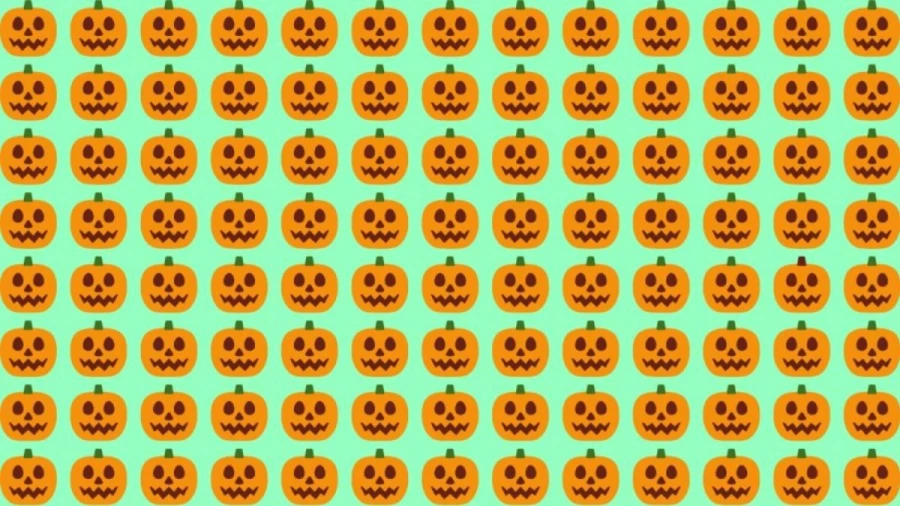 Observation Skills Test: Can you find the odd Pumpkin in this picture within 12 seconds?