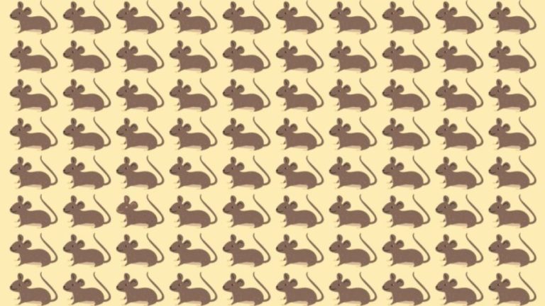 Observation Skills Test: Can you spot which Mouse is different in 10 seconds?