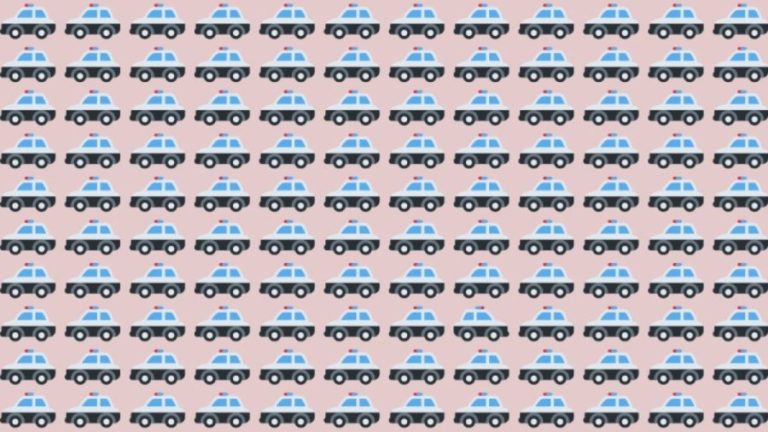 Observation Skills Test: Can you spot which Police Car is different in 10 seconds?