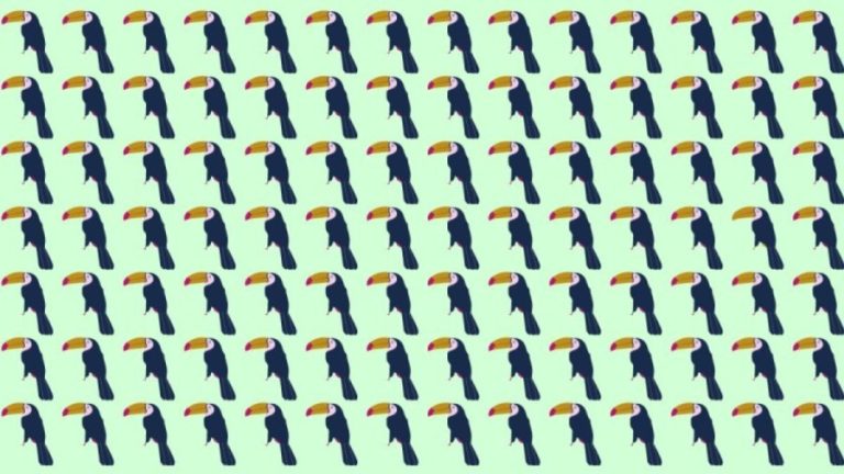 Observation Skills Test: Can you spot which Toucan Bird is different in 10 seconds?