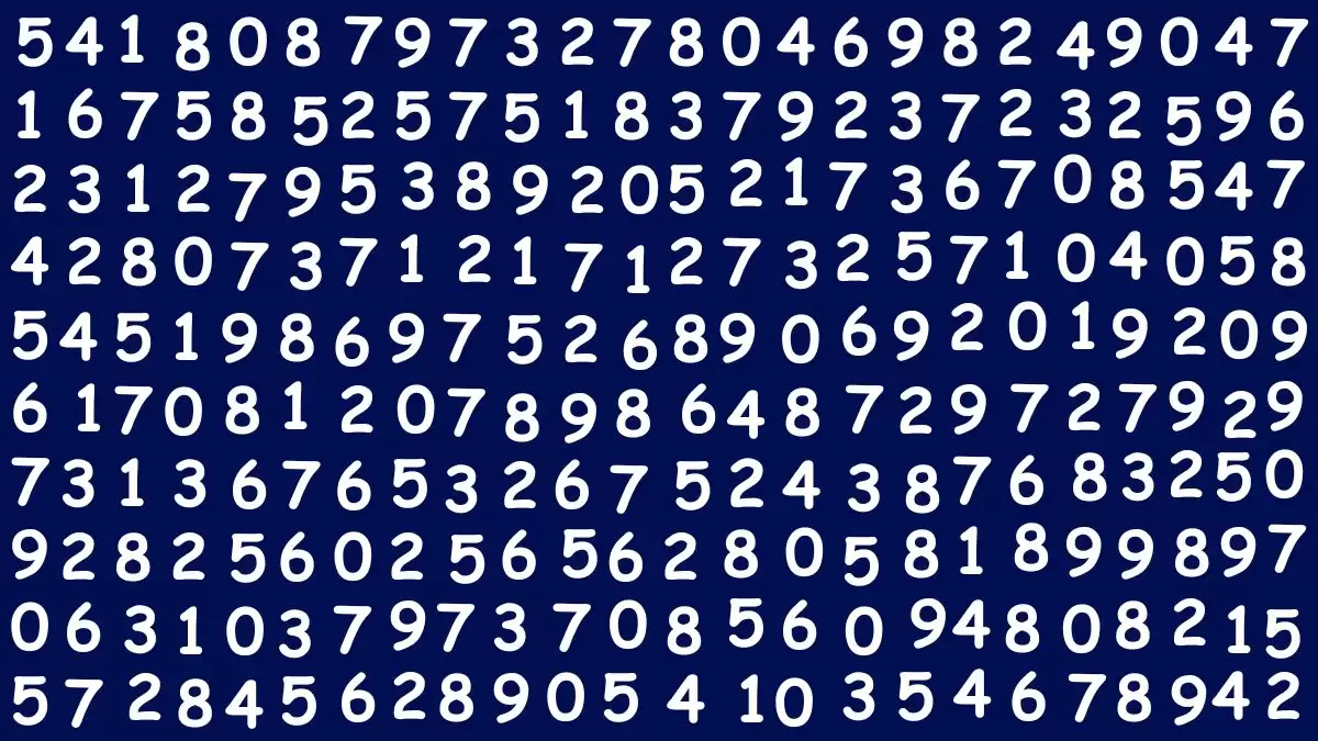 Only A Human With 360 Vision Can Spot the Number 9766 in 15 Secs