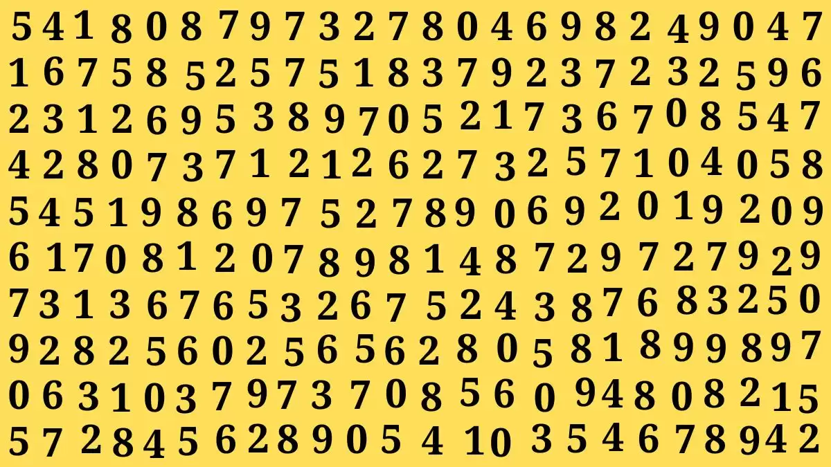 Only Extra Sharp Eyes Can Find the Number 8255 in 15 Secs