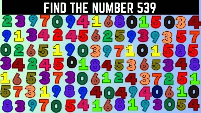 Only people with the IQ Can Find the Number 539 in 14 Secs