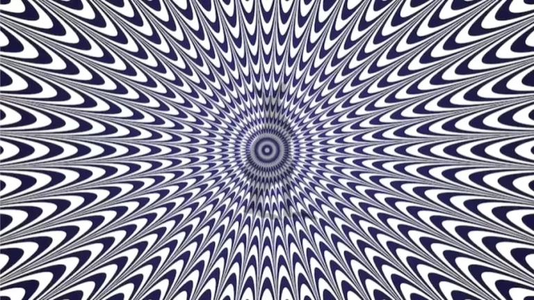 Optical Illusion Brain Test: Can you Find The Hidden Animal In This Image within 10 Seconds?