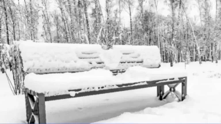 Optical Illusion Brain Test: Can you find the Hidden Rabbit among Snow within 10 Seconds?