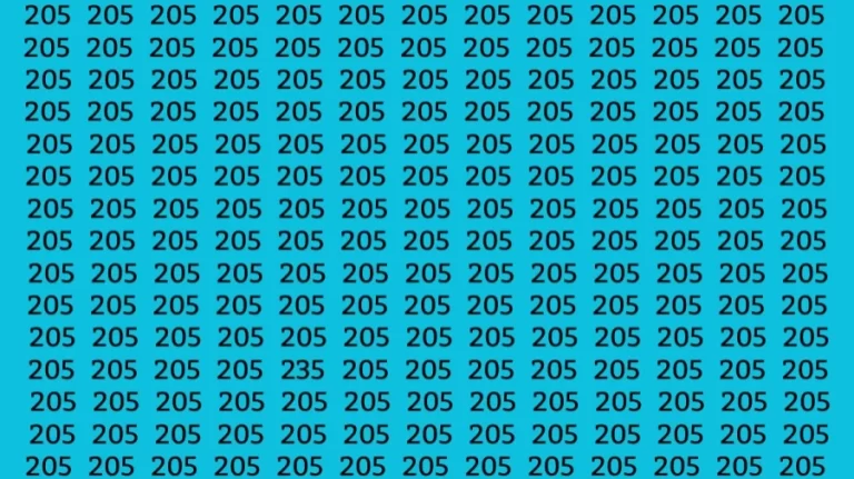 Optical Illusion: Can you find the Number 235 among 205 in 10 Seconds?