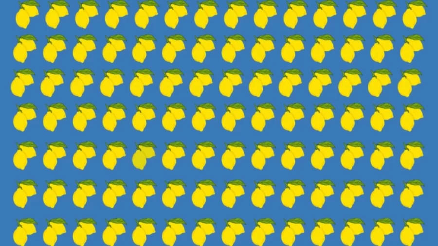 Optical Illusion: Can you find the Odd Lemon within 5 Seconds?