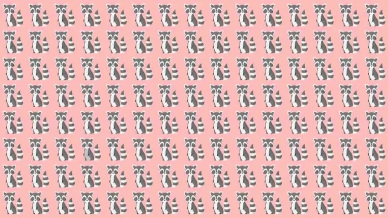 Optical Illusion: Can you find the Odd Racon in 10 Seconds?