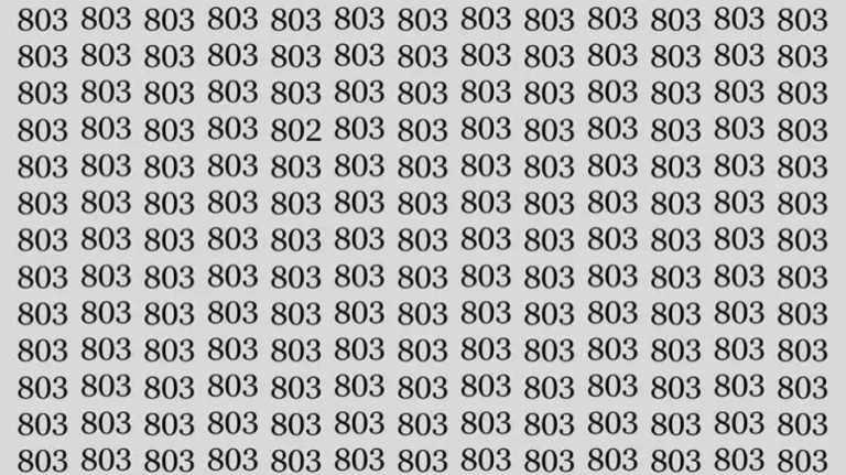 Optical Illusion Challenge: Find the Number 802 among 803 within 8 seconds