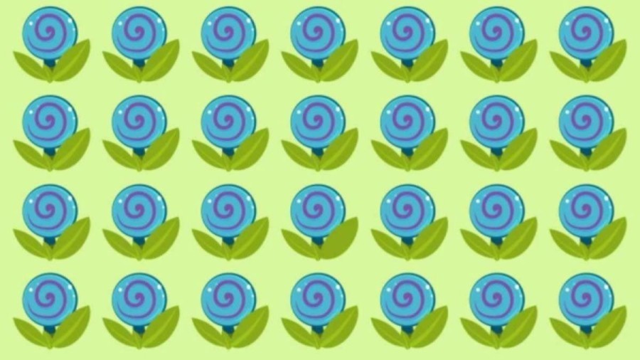 Optical Illusion Challenge: Only Genius Can Find the Hidden Candy Among the Blue Flowers within 15 seconds?