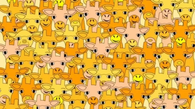 Optical Illusion Hide and Seek: Find the Yoda Hidden Among These Cute Giraffes in Less Than 14 Seconds