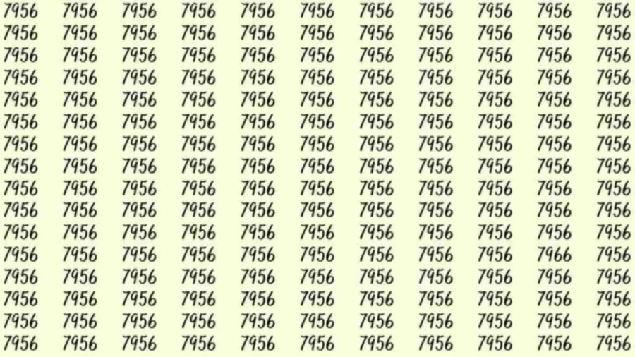 Optical Illusion: If you have eagle eyes find 7966 among 7956 in 8 Seconds?