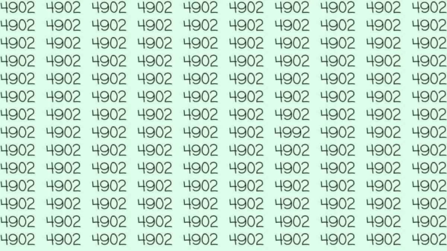 Optical Illusion: If you have hawk eyes find 4992 among 4902 in 10 Seconds?