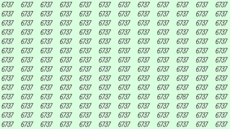 Optical Illusion: If you have sharp eyes find 6787 among 6737 in 6 Seconds?