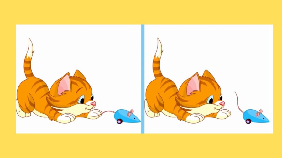 Optical Illusion Spot the Difference : Can you Spot 3 Differences in 25 Secs?