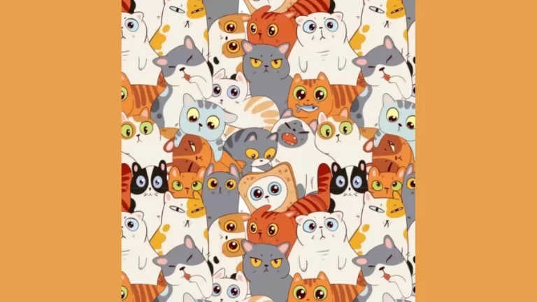 Optical Illusion Vision Test: One of These Cats is Hiding a Sausage. Can you spot it in less than 15 Seconds?