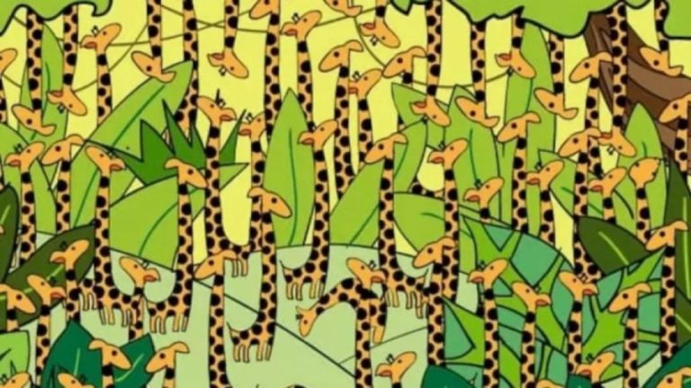 Optical Illusion for IQ Test: Can you find the Snake Among the Giraffe Within 15 Secs?