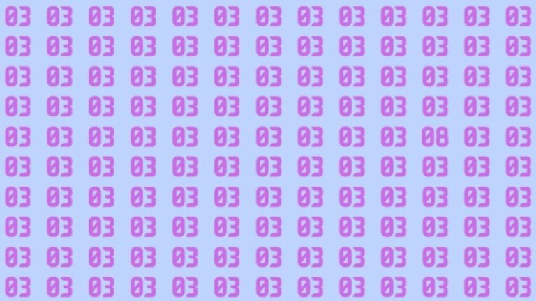 Optical Illusions: Can you find the number 08 among 03 in 10 seconds?