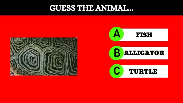 Picture Puzzle: Only A Genius Can Guess the animal in 8 Secs