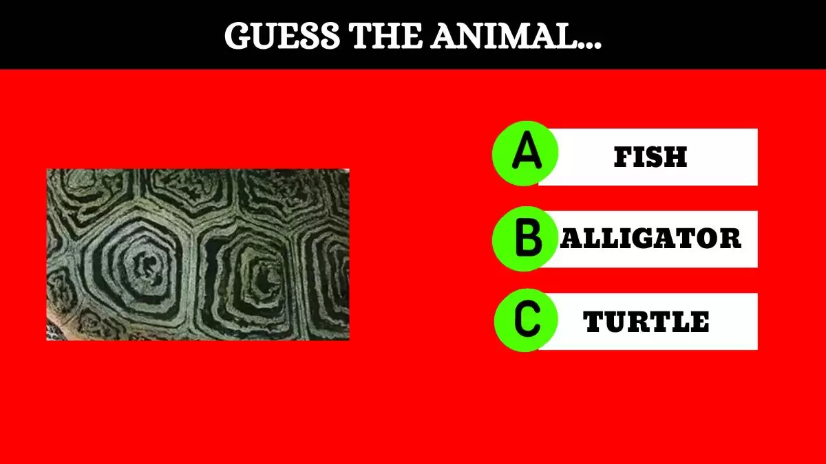 Picture Puzzle: Only A Genius Can Guess the animal in 8 Secs