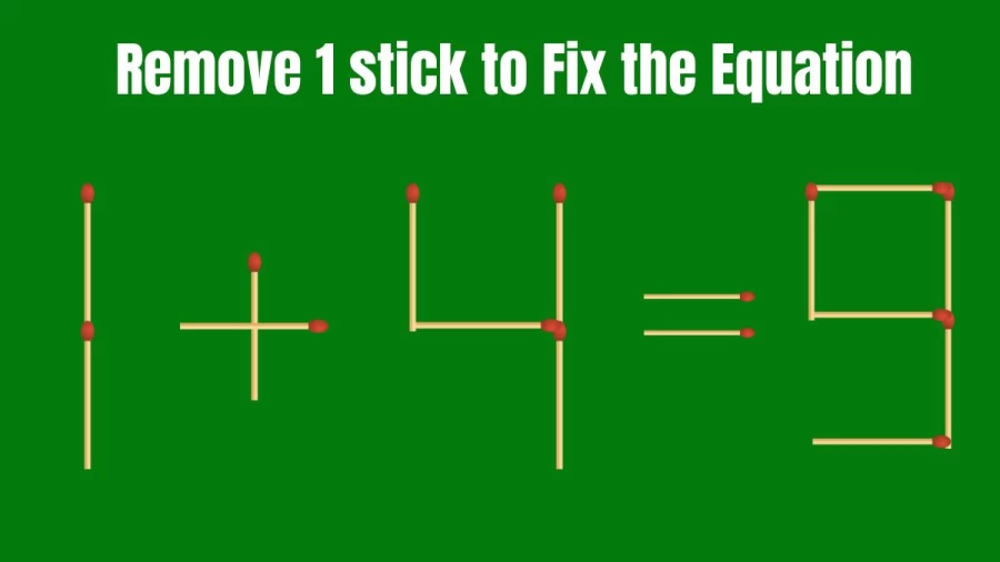 Remove 1 Stick and Fix the Equation 1+4=9 | Viral Brain Teaser