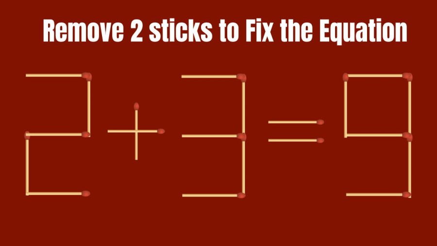 Remove 2 Sticks and fix the Equation 2+3=9 | Brain Teaser Matchstick puzzle