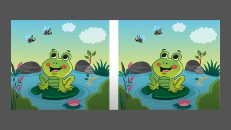 Spot the Difference: How Many Differences Can You Spot in 20 Secs?