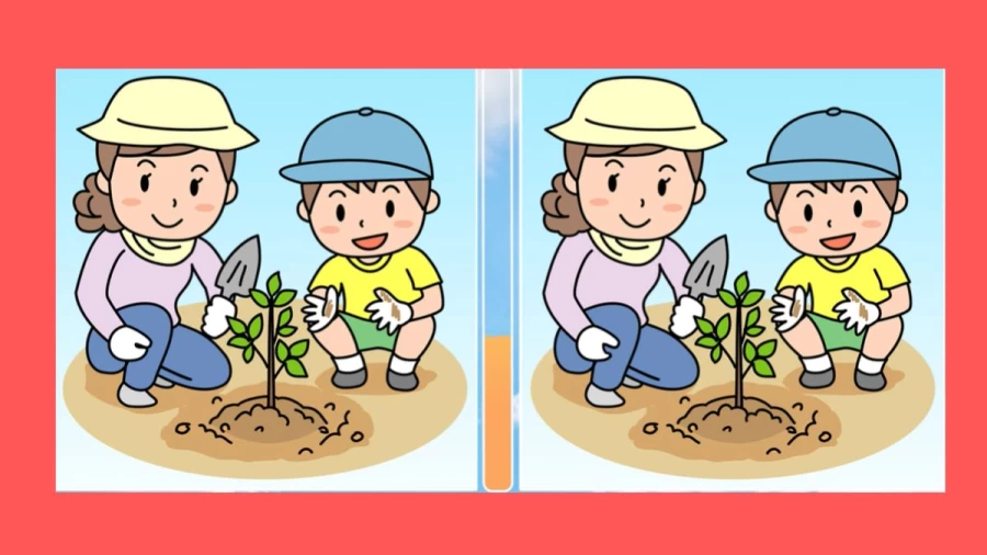 Spot the Difference Puzzle: Can you Spot 3 Differences in these Pictures?