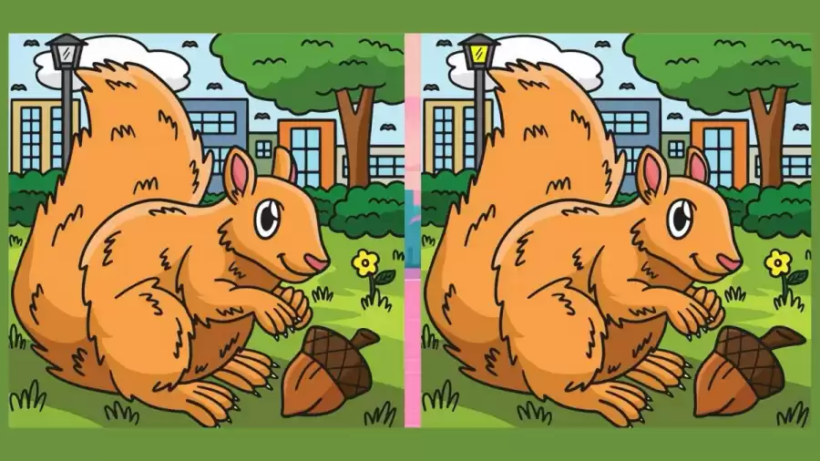 Spot the difference Game: If you have Eagle Eyes find the 3 differences in less than 15 seconds!