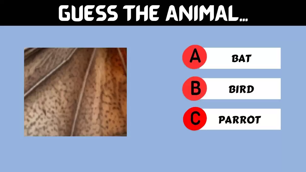 Test your intelligence: Can you Guess the animal in 10 Secs