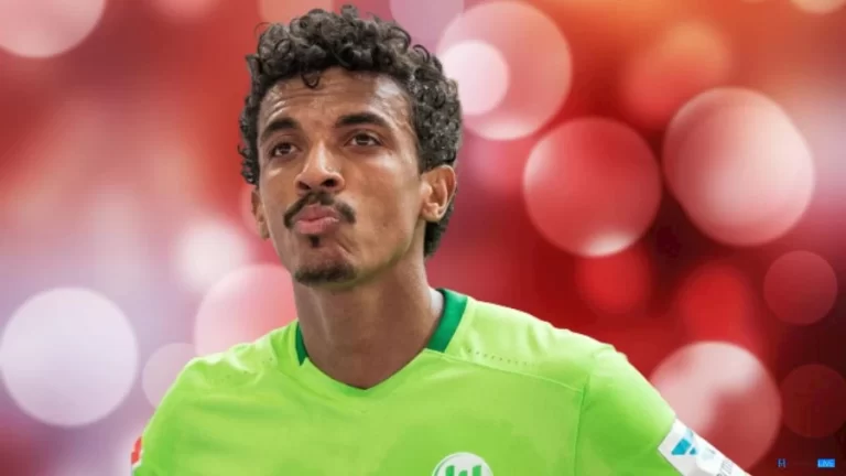 Who is Luiz Gustavo Wife? Know Everything About Luiz Gustavo