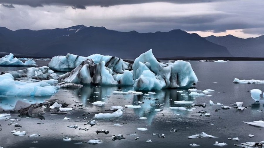 12 Seconds Optical Illusion: There Is A Cute Baby Penguin Lost In This Iceberg. Can You Find It?