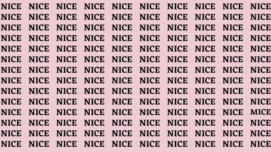 Brain Teaser: If you have Hawk Eyes Find the Word Mice among Nice in 15 Secs