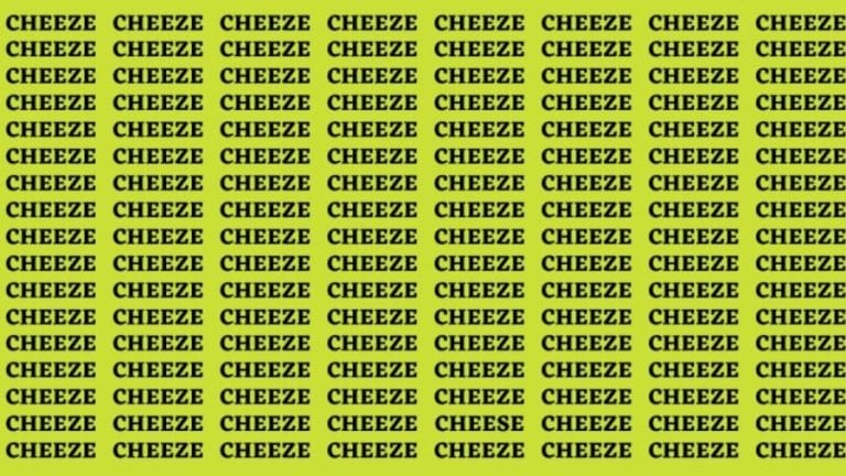 Brain Teaser: If you have Eagle Eyes Find the word Cheese in 13 Secs