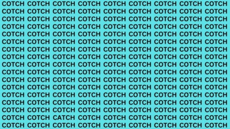 Brain Teaser: If you have Eagle Eyes Find the word Catch in 13 secs