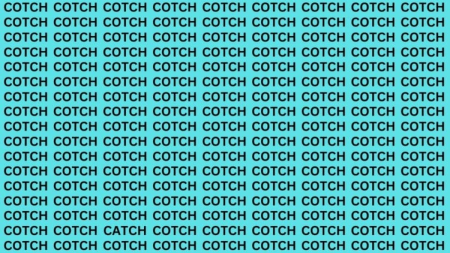 Brain Teaser: If you have Eagle Eyes Find the word Catch in 13 secs