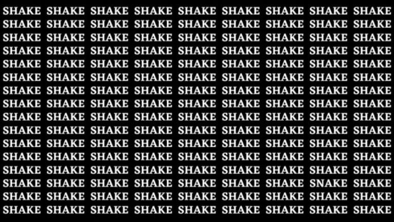 Brain Test: If You Have Eagle Eyes Find The Word Snake Among Shake In 15 Secs