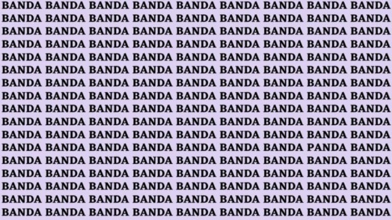 Brain Teaser: If You Have Hawk Eyes Find The Word Panda In 15 Secs