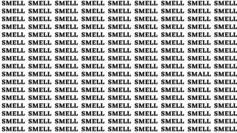 Brain Teaser: If You Have Sharp Eyes Find The Word Small Among Smell In 20 Secs