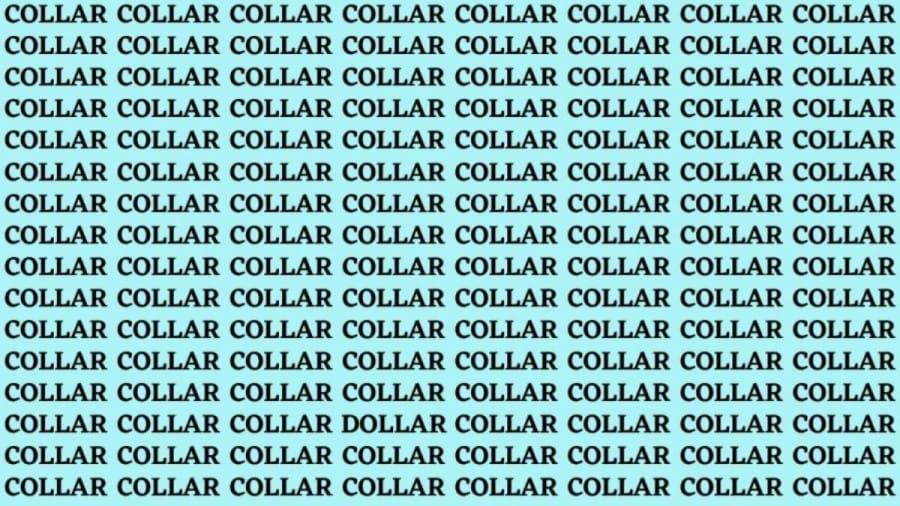 Brain Teaser: If You Have Sharp Eyes Find The Word Dollar Among Collar In 18 Secs